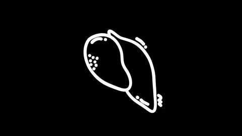 Abstract illustration of a mango on a black background, emphasizing its sha.. Stock Footage 320023947