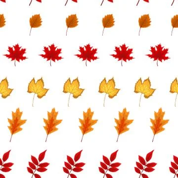 Abstract  Illustration Seamless Pattern Background with Falling Autumn Leaves 스톡 일러스트