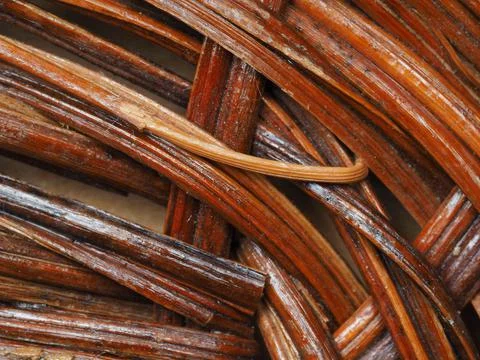 Abstract image, background, texture, closeup. wicker basket. curved orange an Stock Photos