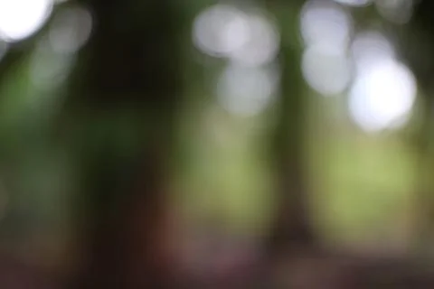 This is an abstract image with a blurred background. It features a bokeh effe Stock Photos