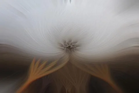 Abstract image composed of colored lines that create spirals Stock Photos