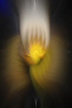 Abstract image composed of colored lines that create spirals Stock Photos