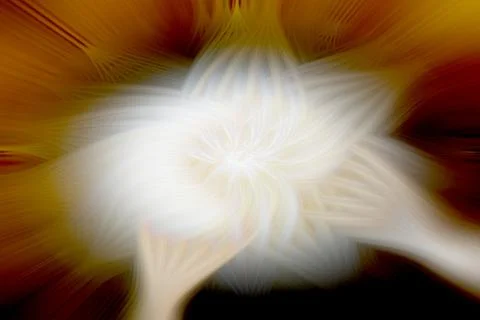 Abstract image composed of colored lines that create spirals Stock Photos