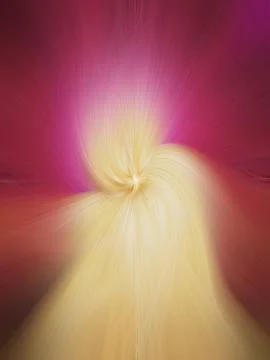 Abstract image composed of colored lines that create spirals Stock Photos