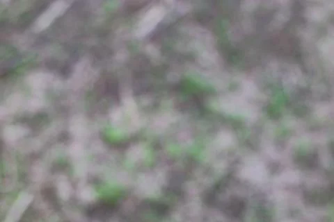 This abstract image features a blurred combination of green and gray tones, c Stock Photos