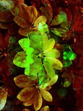 Abstract image of flowers Stock Illustration