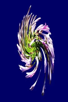 Abstract image of flowers Stock Photos