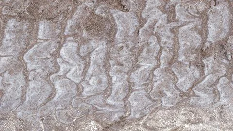 Abstract image of intricate patterns formed in the sand of a beach Stock Photos
