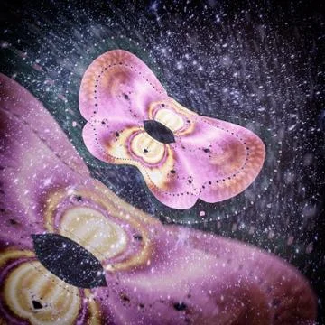 Abstract image of moths on a dark background. Stock Illustration