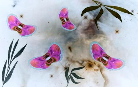 Abstract image of moths on a light background. Stock Illustration