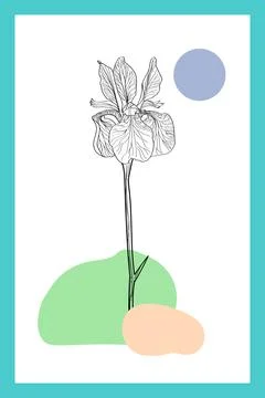 Abstract image of a plant. Vector illustration. Stock Illustration