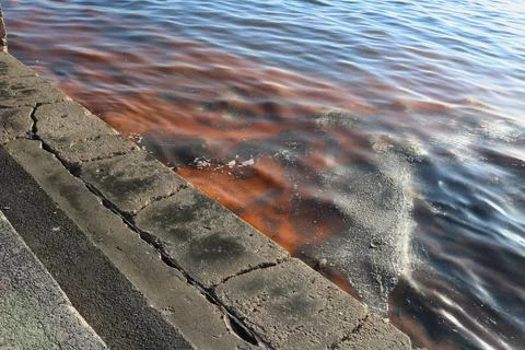 Abstract Image of Polluted Water Surface with Oily Patterns Stock Photos