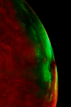 Abstract image representing planet earth Stock Illustration
