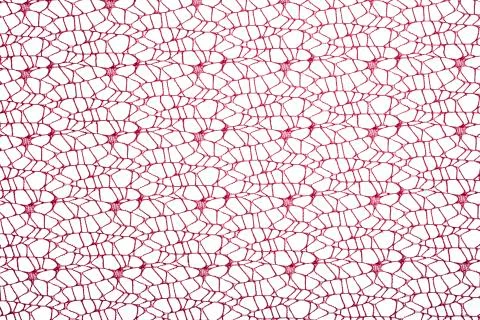 Abstract image of a set of woven red threads 写真素材