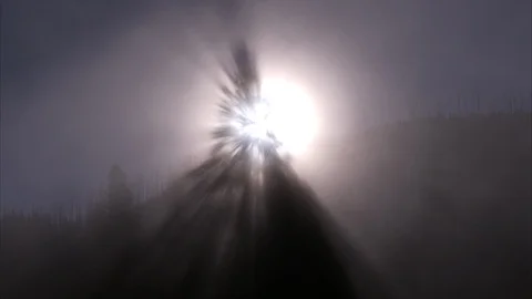 Abstract image of sunlight passing through pine tree and diffused by heavy fog. Stock Footage 86755511