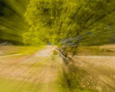 Abstract image of tree Stock Photos