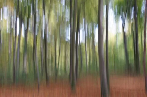 Abstract image of trees in autumn Stock Photos