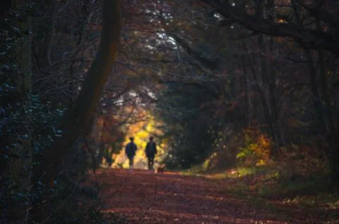 Abstract Image of two people walking through a tree-lined tunnel Stock Photos