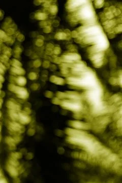Abstract Impression of Nature's Textures, A Play of Light and Shadow Create.. Foto stock