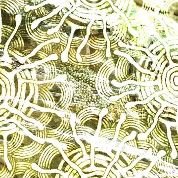 Abstract indigenous art pattern featuring intricate white line work and golden Stock Illustration