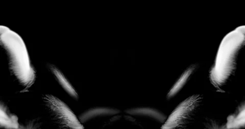 Abstract Ink Background. Fluid Motion. Moving Liquid Ink in Water. Stock Footage 121710320