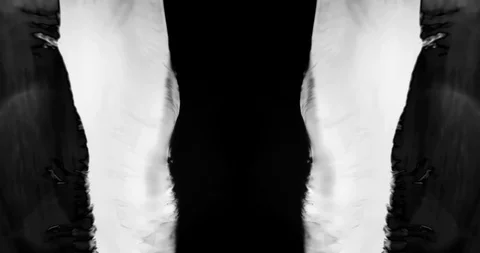 Abstract Ink Background. Fluid Motion. Moving Liquid Ink in Water. Stock Footage 121721604