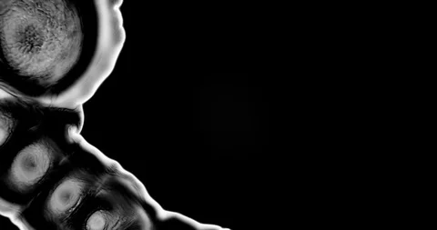 Abstract Ink Background. Fluid Motion. Moving Liquid Ink in Water. Stock Footage 121801088