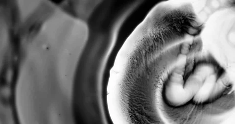 Abstract Ink Background. Fluid Motion. Moving Liquid Ink in Water. Stock Footage 121801578