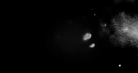 Abstract Ink Background. Fluid Motion. Moving Liquid Ink in Water. Stock Footage 121801900