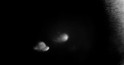 Abstract Ink Background. Fluid Motion. Moving Liquid Ink in Water. Stock Footage 121802156