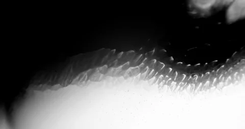 Abstract Ink Background. Fluid Motion. Moving Liquid Ink in Water. Stock Footage 121802633