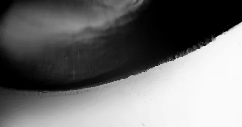 Abstract Ink Background. Fluid Motion. Moving Liquid Ink in Water. Stock Footage 121802936