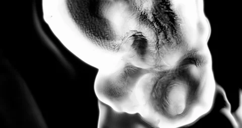 Abstract Ink Background. Fluid Motion. Moving Liquid Ink in Water. Stock Footage 121804226