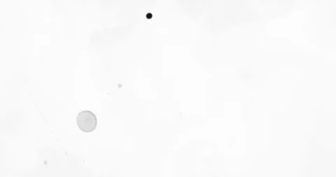 Abstract Ink Background. Fluid Motion. Moving Liquid Ink in Water. Stock Footage 121804578