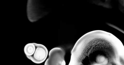 Abstract Ink Background. Fluid Motion. Moving Liquid Ink in Water. Stock Footage 121804793