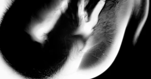 Abstract Ink Background. Fluid Motion. Moving Liquid Ink in Water. Stock Footage 121805166