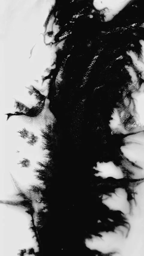 Abstract ink bloom. Stock Footage 345241210