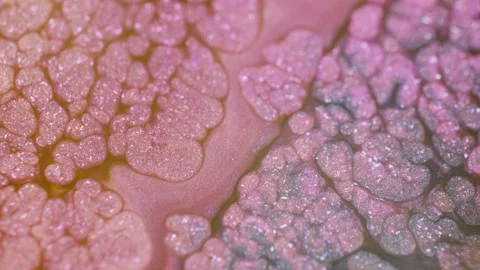 Abstract Ink Bubbles Forming Cellular Patterns, close up shot Stock Footage 325715387