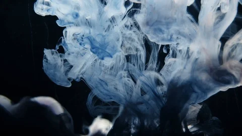 Abstract Ink flowing in water Stock Footage 108039329