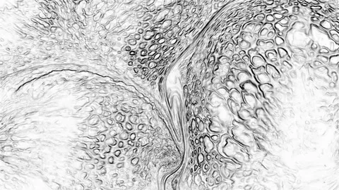 Abstract ink Liquid Marble Luxury Mineral Pattern Background Texture 16 動画素材 313845339