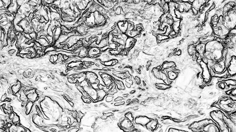 Abstract ink Liquid Marble Luxury Mineral Pattern Background Texture 1 動画素材 313846598