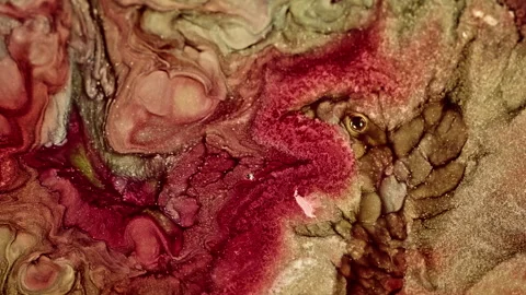 Abstract Ink Paint Diffusion Paradox Illusion Shapes Stock Footage 308821507