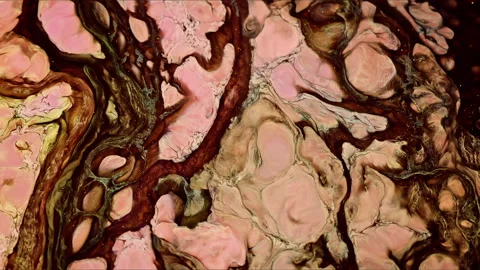 Abstract Ink Paint Diffusion Paradox Illusion Shapes Stock Footage 308825121