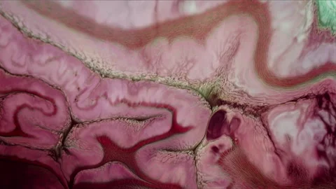 Abstract Ink Paint Diffusion Paradox Illusion Shapes Vídeo Stock 308835955