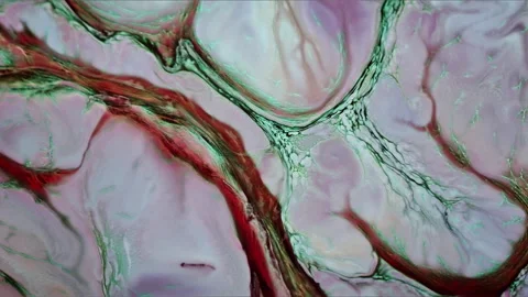 Abstract Ink Paint Diffusion Paradox Illusion Shapes Video stock 308836490