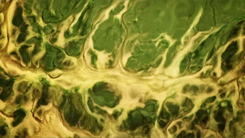 Abstract Ink Paint Diffusion Paradox Illusion Shapes 스톡 동영상 308838143