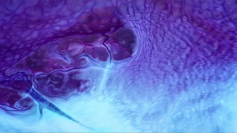 Abstract Ink Paint Diffusion Paradox Illusion Shapes Stock Footage 308838242