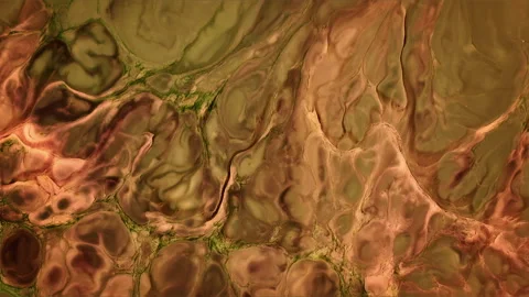 Abstract Ink Paint Diffusion Paradox Illusion Shapes Stock Footage 308839276