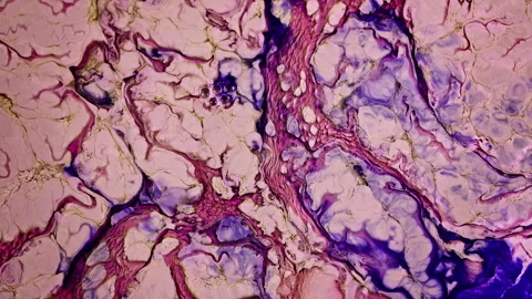 Abstract Ink Paint Diffusion Paradox Illusion Shapes Stock Footage 308839899