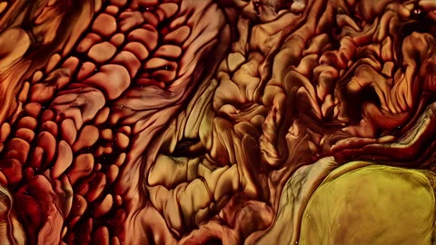 Abstract Ink Paint Diffusion Paradox Illusion Shapes Stock Footage 308845853